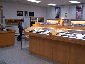 vitrina exposición Museo de Geologia
